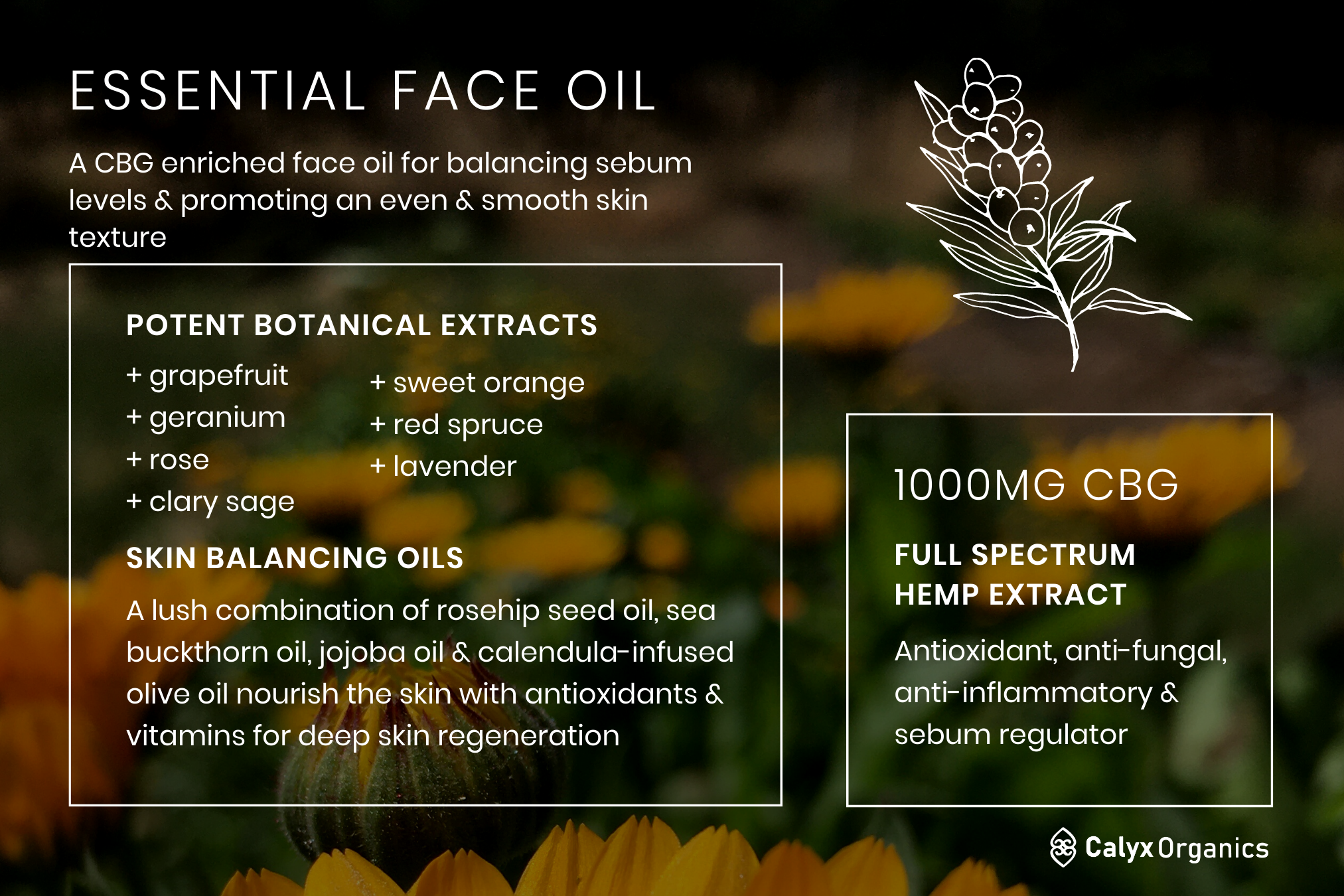 Essential Face Oil